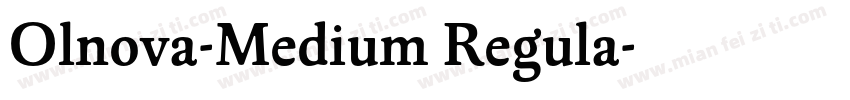Olnova-Medium Regula字体转换